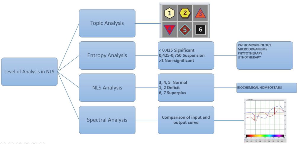 Levels of Analysis in NLS